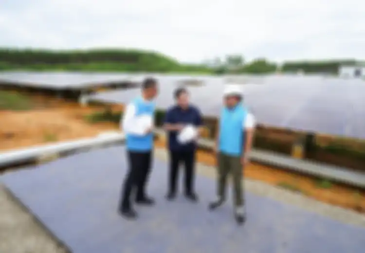 Diskusikan tentang Pembangunan Berkelanjutan dan Proyek yang Berwawasan Lingkungan Hidup, Bagaimana Rujukan Analisis Kasus Lingkungan?