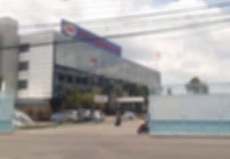Penyebab Kebangkrutan Sritex Raksasa Tekstil Asia