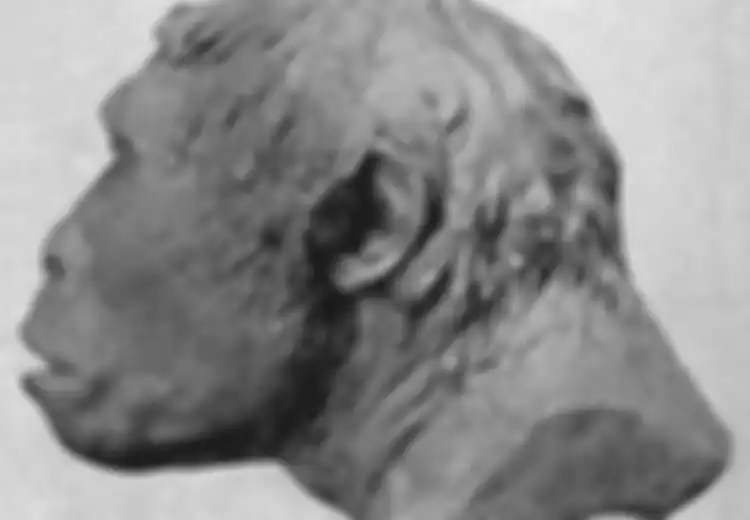 Pemuda Gelisah dan Ngambekan, Ternyata Ini Sosok yang Menemukan Pithecanthropus erectus di Trinil