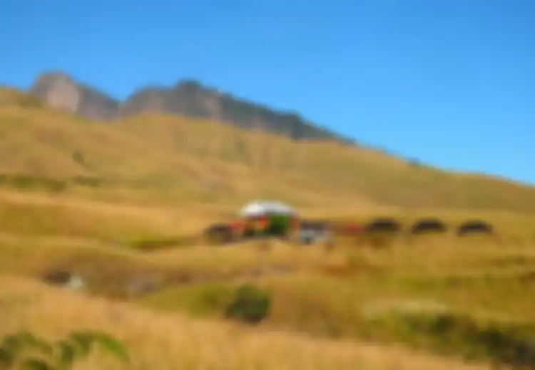 Bahaya yang Mengintip di Balik Indah dan Gagahnya Gunung Rinjani