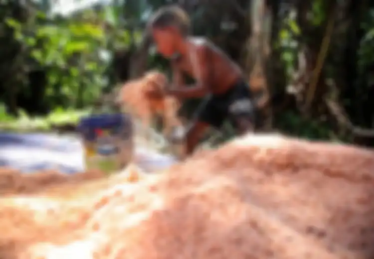 Mengapa Sagu Merupakan Produk Pangan Lokal yang Sangat Menjanjikan pada Masa Mendatang?