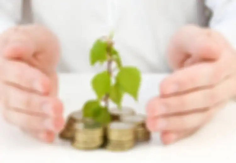 Perhatikan Syarat-syarat Investasi Ini Sebelum Melangkah Lebih Jauh