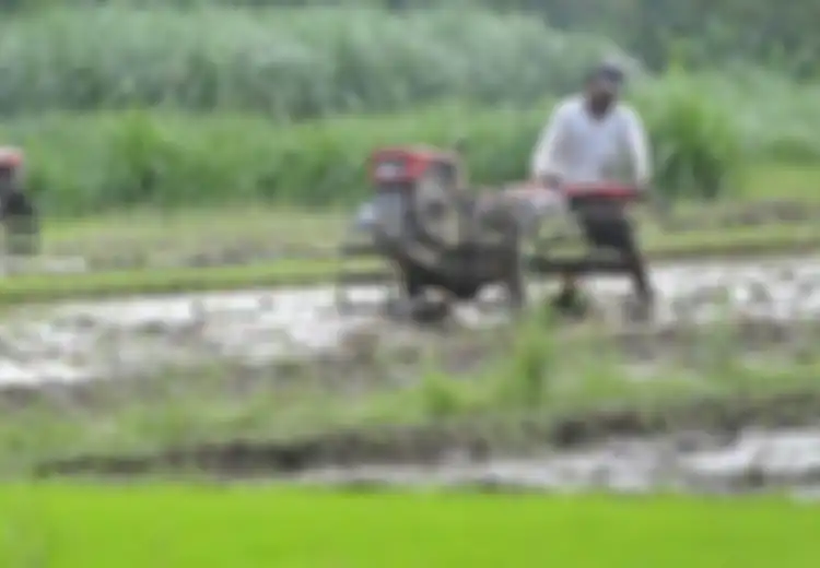 Pemanasan Global dapat Menurunkan Kualitas Pertanian