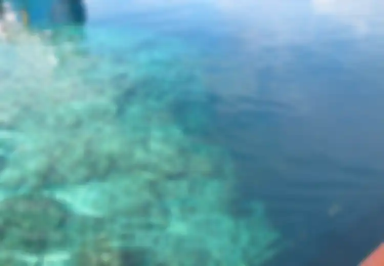 Wakatobi, Surganya Para Diver
