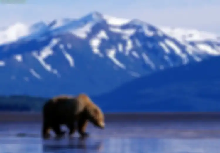 Menikmati Surga Kecil Alaska