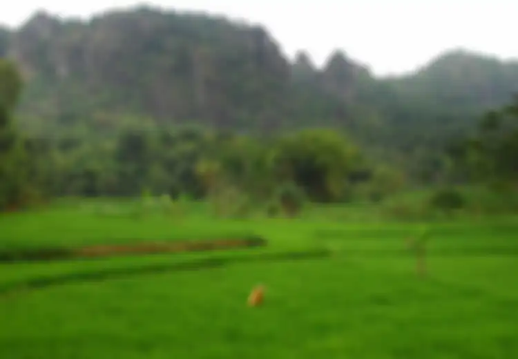 Bukit Nglanggeran:  Kutukan Dalang bagi Yang “Nglangger”