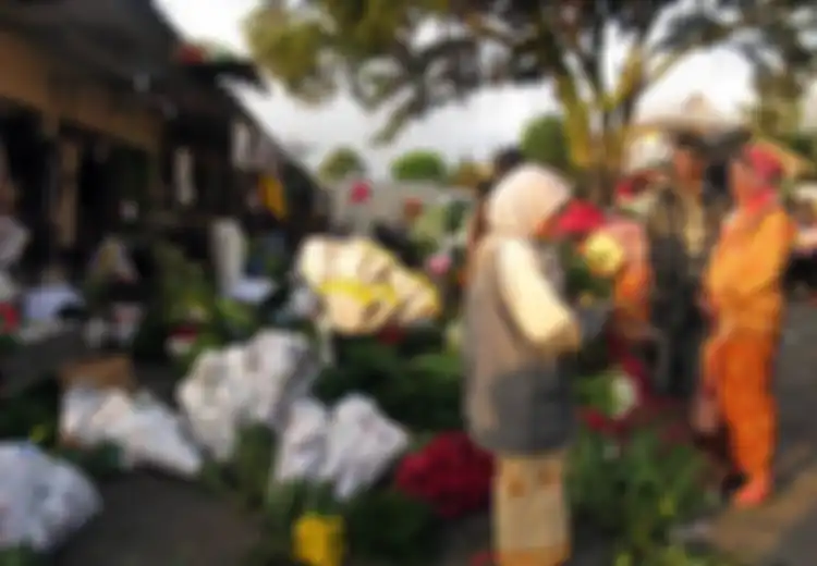 Beli Bunga saja ke Bandungan