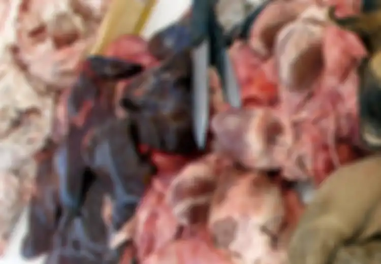 Tips Mengolah Jeroan Kambing ala Rabeg Banten