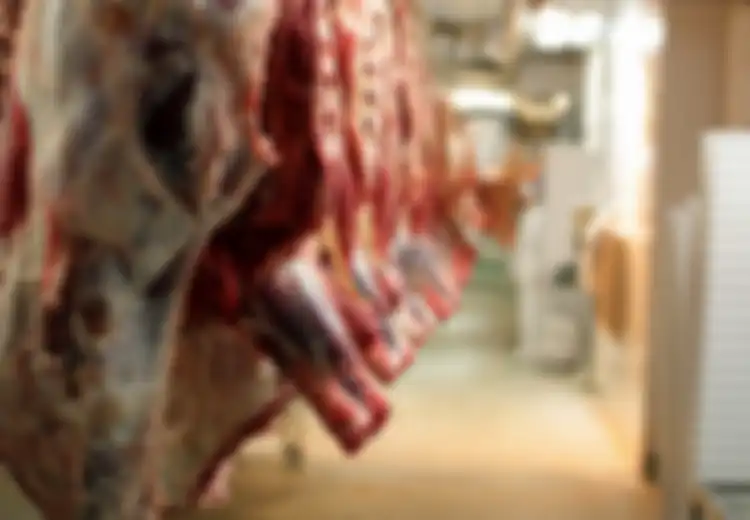 Tak Tahan dengan Bau Prengus Kambing? Begini Cara Menghilangkannya