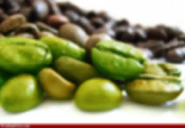 Langsing Alami dengan Kopi Hijau