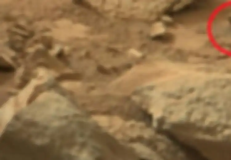 Iguana Nongol di Mars?