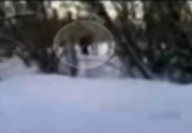 Misteri Yeti Terpecahkan?