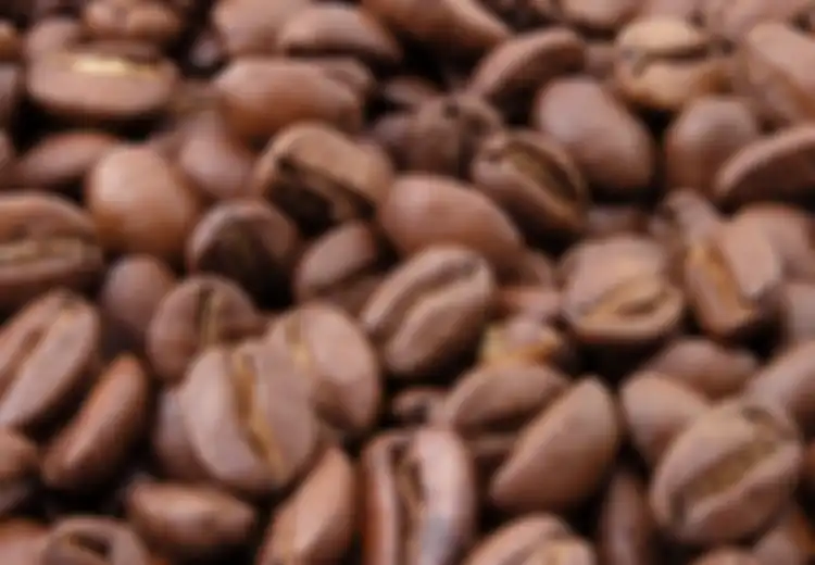 Kopi Arabika Pernah Jaya di Nusantara