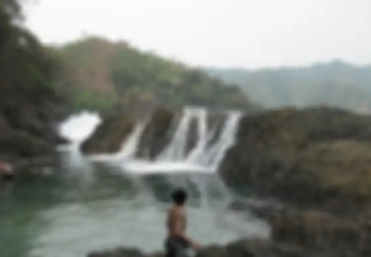 Kiluan Tak Hanya Lumba-lumba