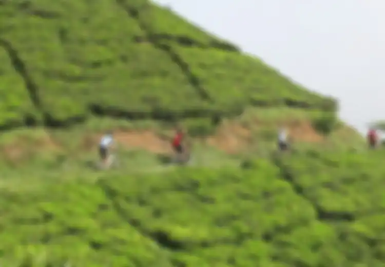 Masih Liburan Lebaran Di Bandung? Coba Wisata Gowes Ini
