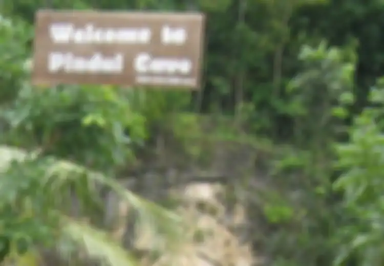Tersundul Stalaktit Gua Pindul