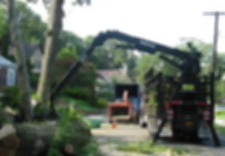 Cabut Kebiasaan Buruk Selagi Belum Kuat Berakar