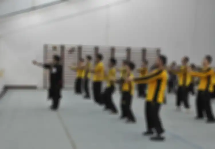 Komunitas Wingchun: Menghidupkan Kembali Semangat Kungfu Tradisional di Indonesia