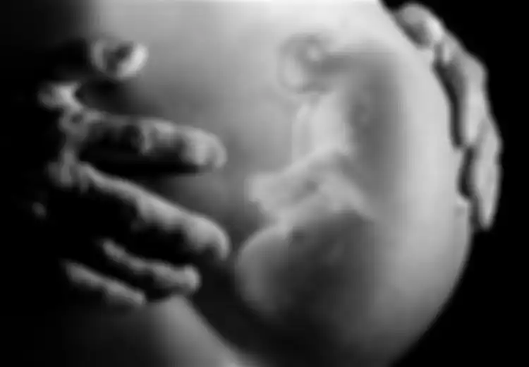 10 Cara Agar Anak Pintar Sejak dalam Kandungan