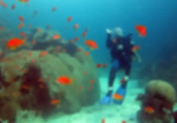 Pesona 'Angkasa Bawah Laut'