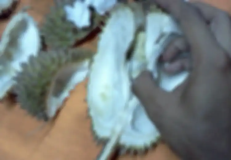 Bukan Thailand, Surga Durian Itu Bernama Indonesia