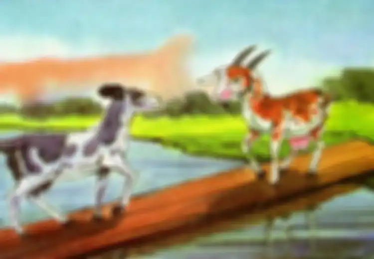 Jangan ‘Ngotot’ dengan Pilihan Pribadi Seperti Kelakuan Dua Kambing Bodoh yang Tak Mau Mengalah Ini