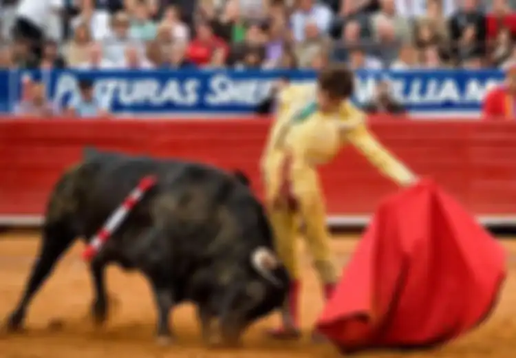 Banteng Ternyata Tidak Membenci Warna Merah