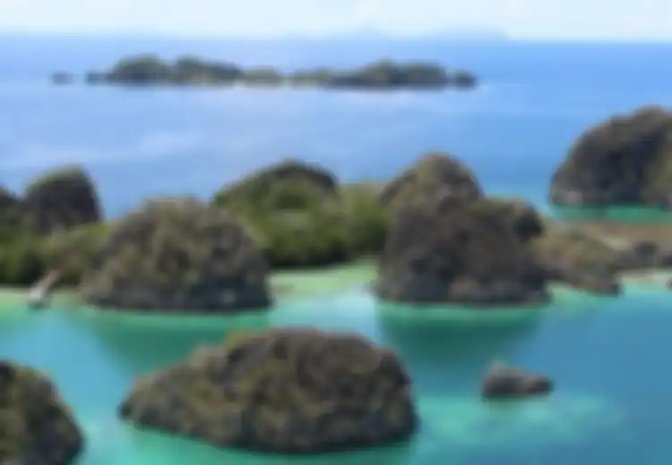 Menghitung Biaya Wisata Backpacker ke Raja Ampat