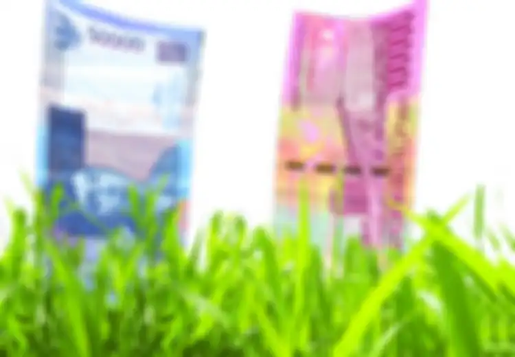 Memanen Ratusan Juta Rupiah dari Rumah