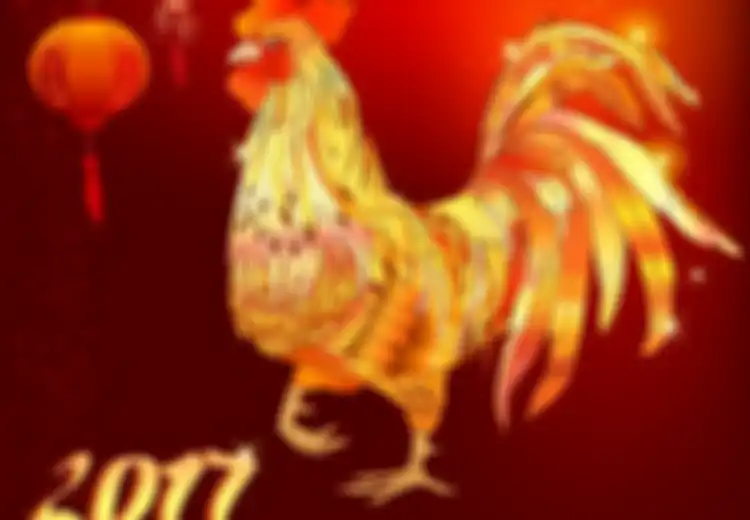 Ayam Termasuk Binatang yang Cerdas
