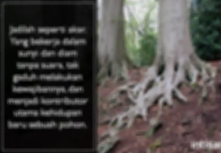 Jadikan Diri Kita Seperti Pohon yang Lurus Mengikuti Cahaya