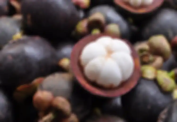 Buah Manggis, si Ratu Buah Pencegah Kanker