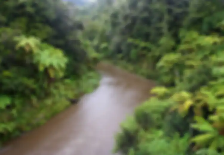 Sungai di New Zealand Ini Memiliki Hak Legal yang Sama Persis Seperti Manusia