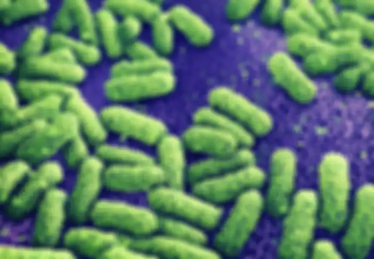 Bakteri yang Kebal Terhadap 26 Jenis Antibiotik Membunuh Seorang Perempuan AS
