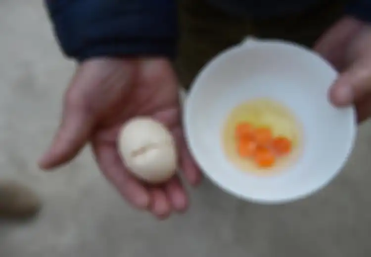 Aneh, Terdapat Lima Kuning Telur dalam Satu Telur Ayam