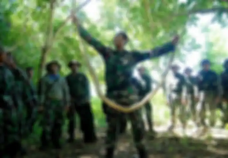 Ular Piton yang Bisa Memakan Manusia Itu Justru Jadi Makanan Mewah Bagi Prajurit TNI