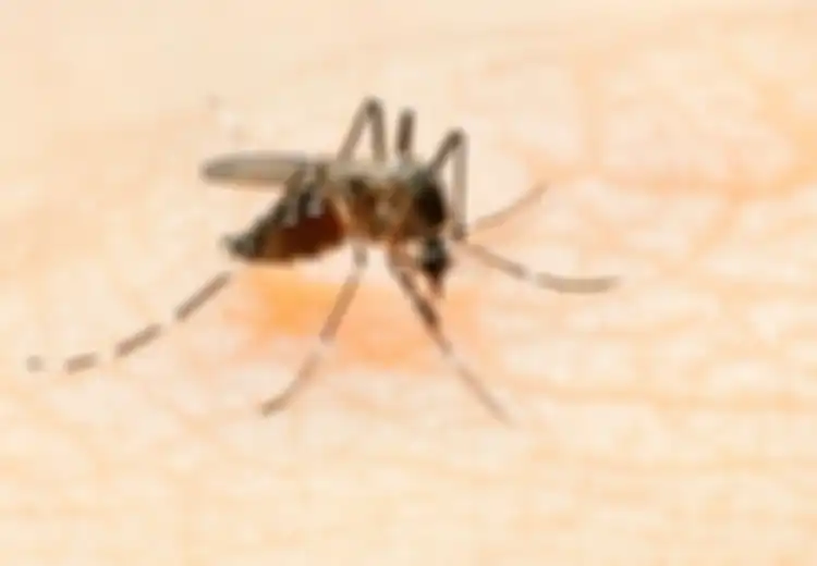 11 Fakta Penting Tentang Virus Zika (1)