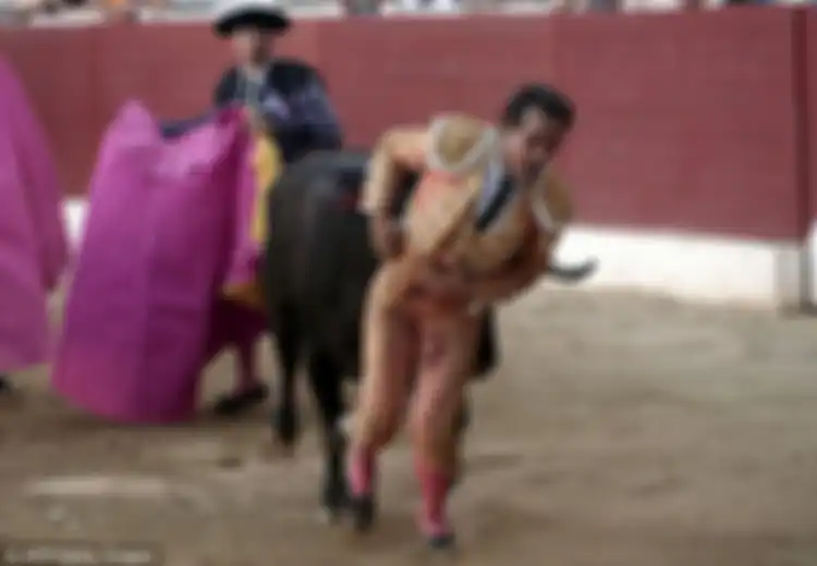 Di Tengah Ribuan Mata Penontonnya, Seorang Matador Meregang Nyawa Ditanduk Banteng