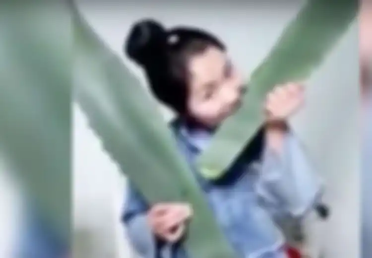Ingin Berbagi Manfaat Lidah Buaya, Vlogger Ini Malah Keracunan