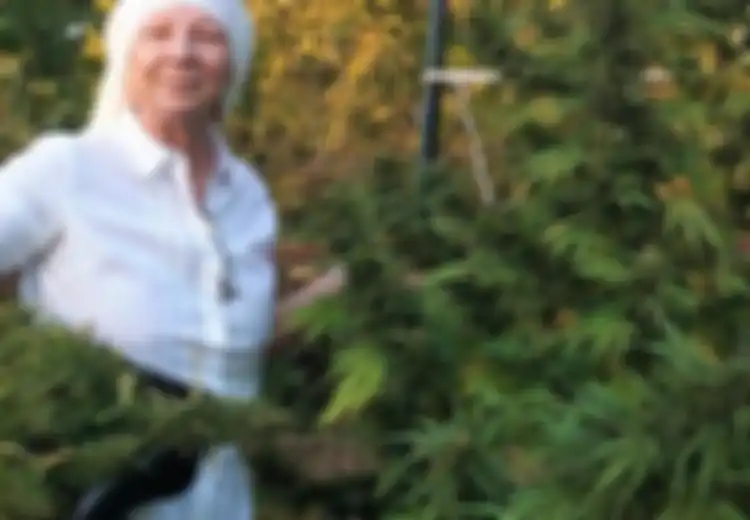 Sister Kate: Sosok di Balik Sister of the Valley, Kelompok ‘Biarawati’ yang Menanam Ganja untuk Pengobatan