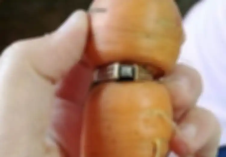 Cincin Berlian Wanita Ini yang Hilang Selama 13 Tahun Ternyata “Dipakai” Wortel