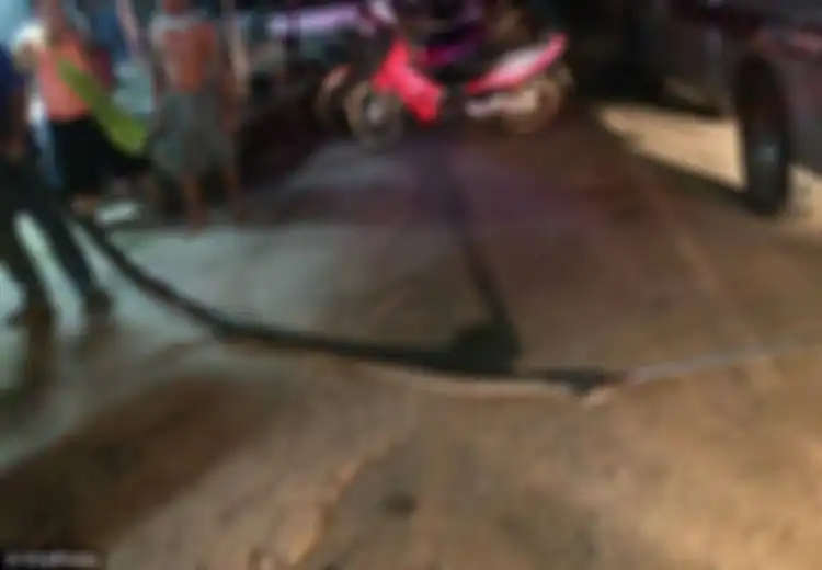Duel Lawan Ular Piton Sepanjang 6 Meter yang Ditangkapnya Tiga Hari Sebelumnya, Pria Ini Tewas Kehabisan Oksigen
