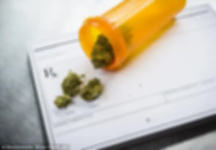 Keputusan Badan Kesehatan Dunia: Ganja Medis Legal dan Boleh Dikonsumsi Pasien