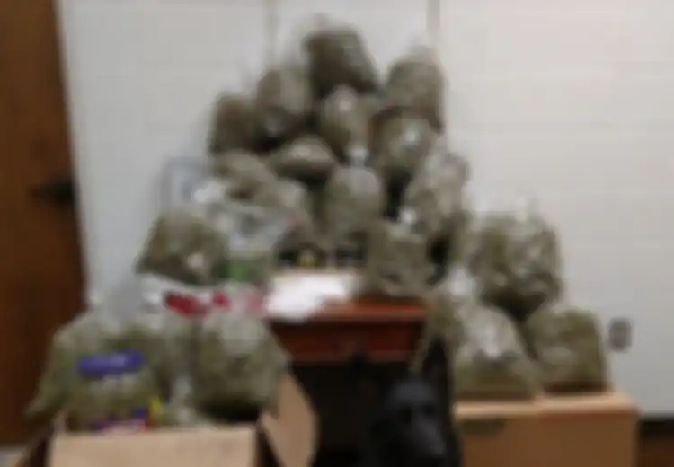 Ingin Jadikan Ganja Senilai Rp4,5 Miliar Sebagai Hadiah Natal, Kakek-Nenek pun Ditangkap Polisi