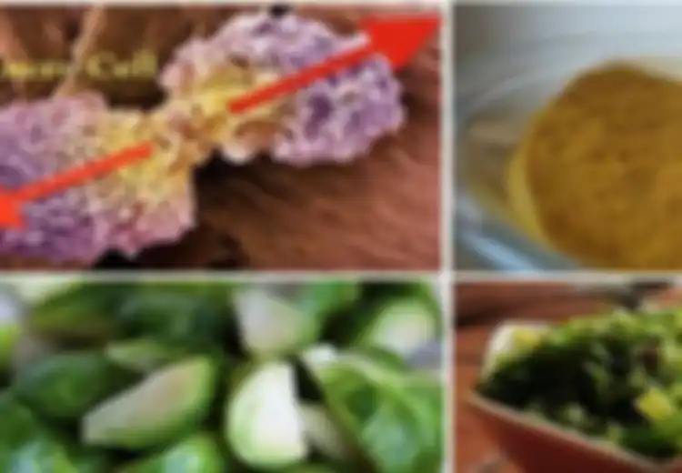 Dari Kacang Sampai Kunyit, Inilah 8 Makanan yang Ampuh Melawan Penyakit Kanker