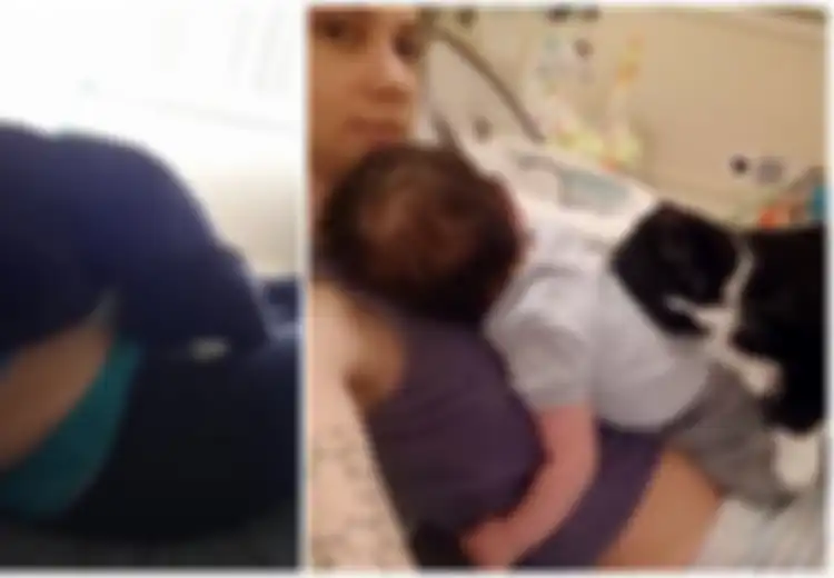 Persahabatan Kucing dan Anak Majikannya Dimulai ini Sejak Si Anak Masih Dalam Kandungan