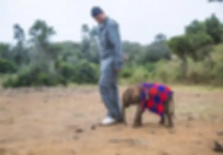 Terkenal Otoriter pada Warganya, China ‘Takluk’ pada Yao Ming Soal Perdagangan Daging Gajah