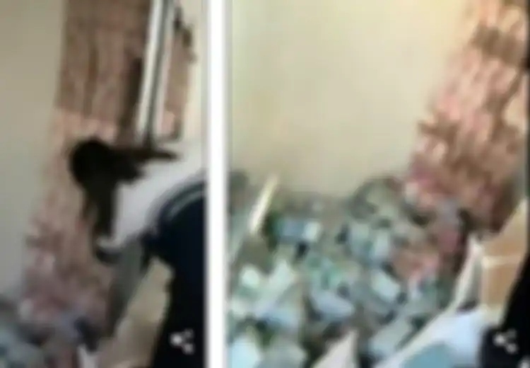 (Video) Warganet Syok Melihat Tumpukan Uang Senilai Rp128 Miliar Ditemukan di Balik Dinding Sebuah Apartemen