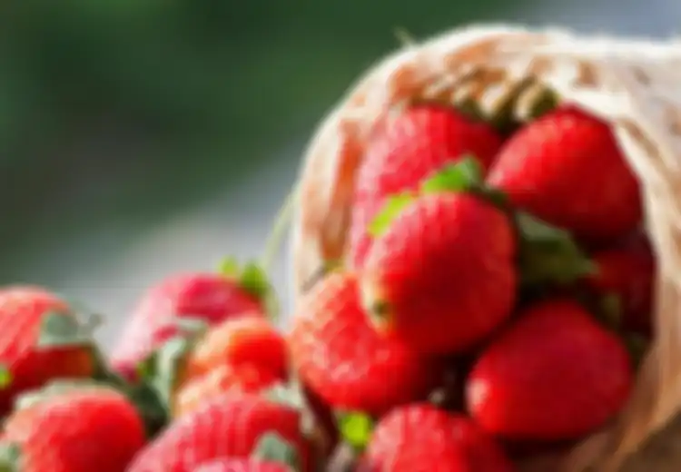 Ini Dia, Lima Makanan yang Seharusnya Kita Kombinasikan dengan Makanan Lain