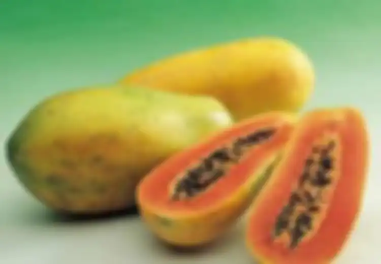 Hati-hati! Wabah Salmonella yang Mematikan Ini Berkaitan dengan Pepaya